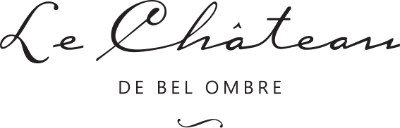 Le chateau de bel ombre